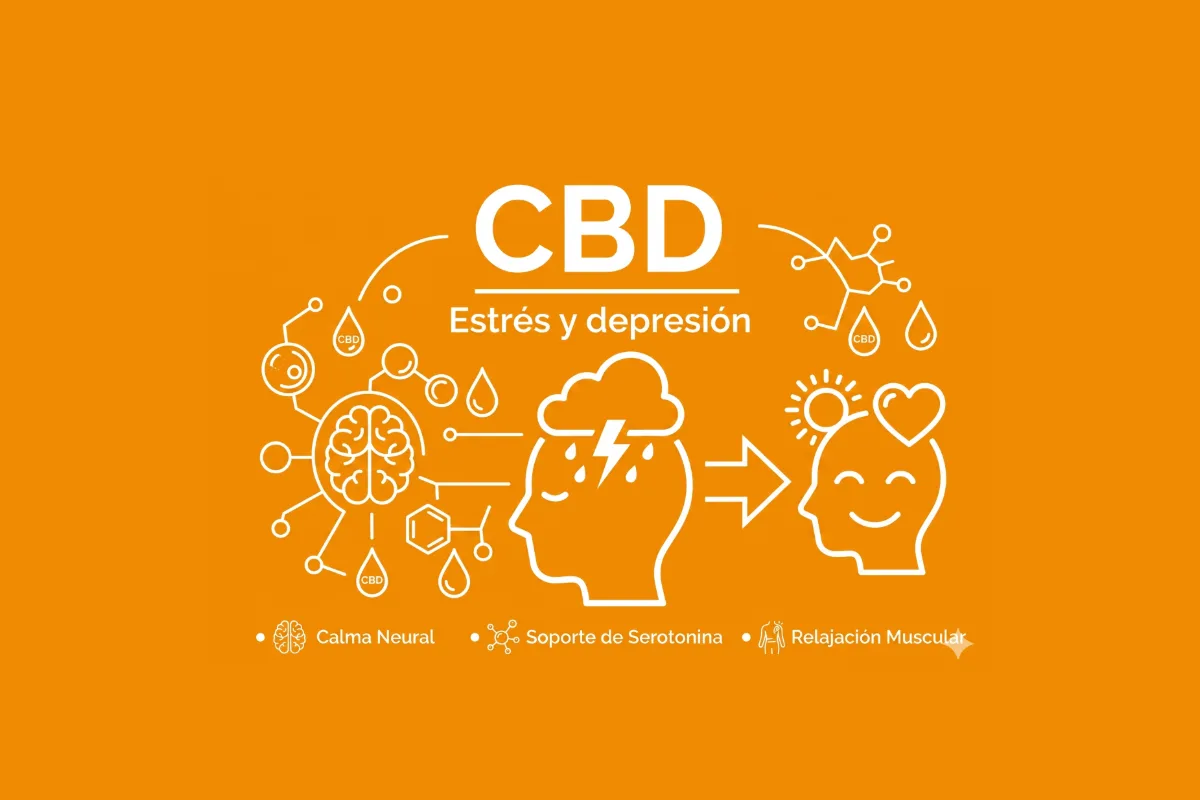 CBD y calidad del sueño