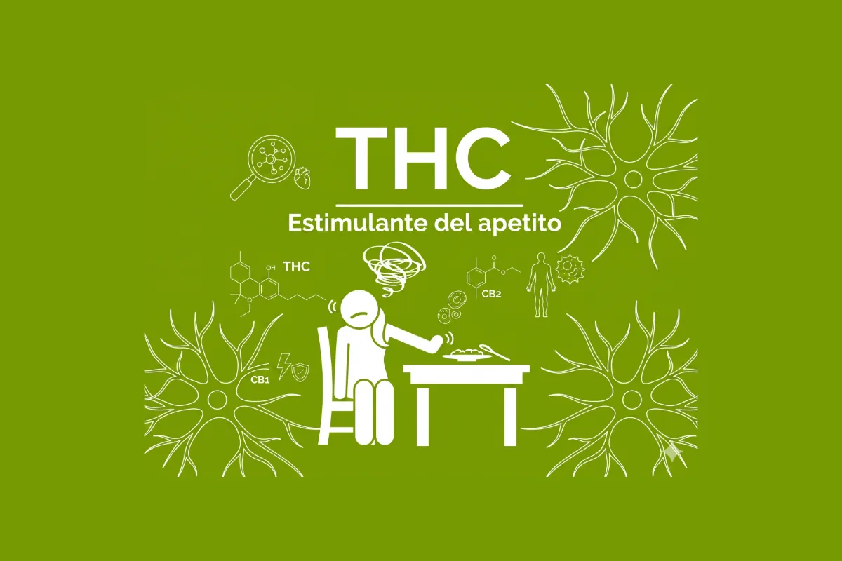 THC estimulante del apetito — nutrición y caquexia