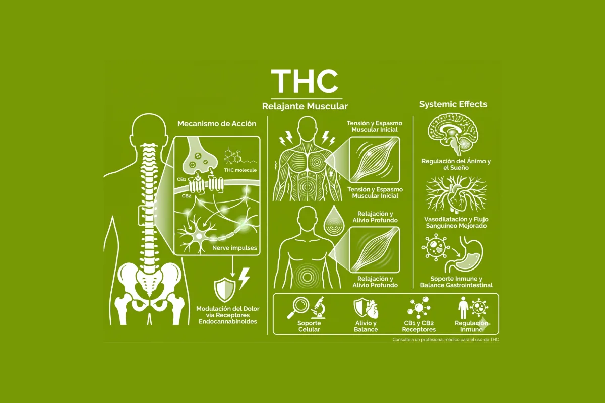 THC relajante muscular — esclerosis múltiple