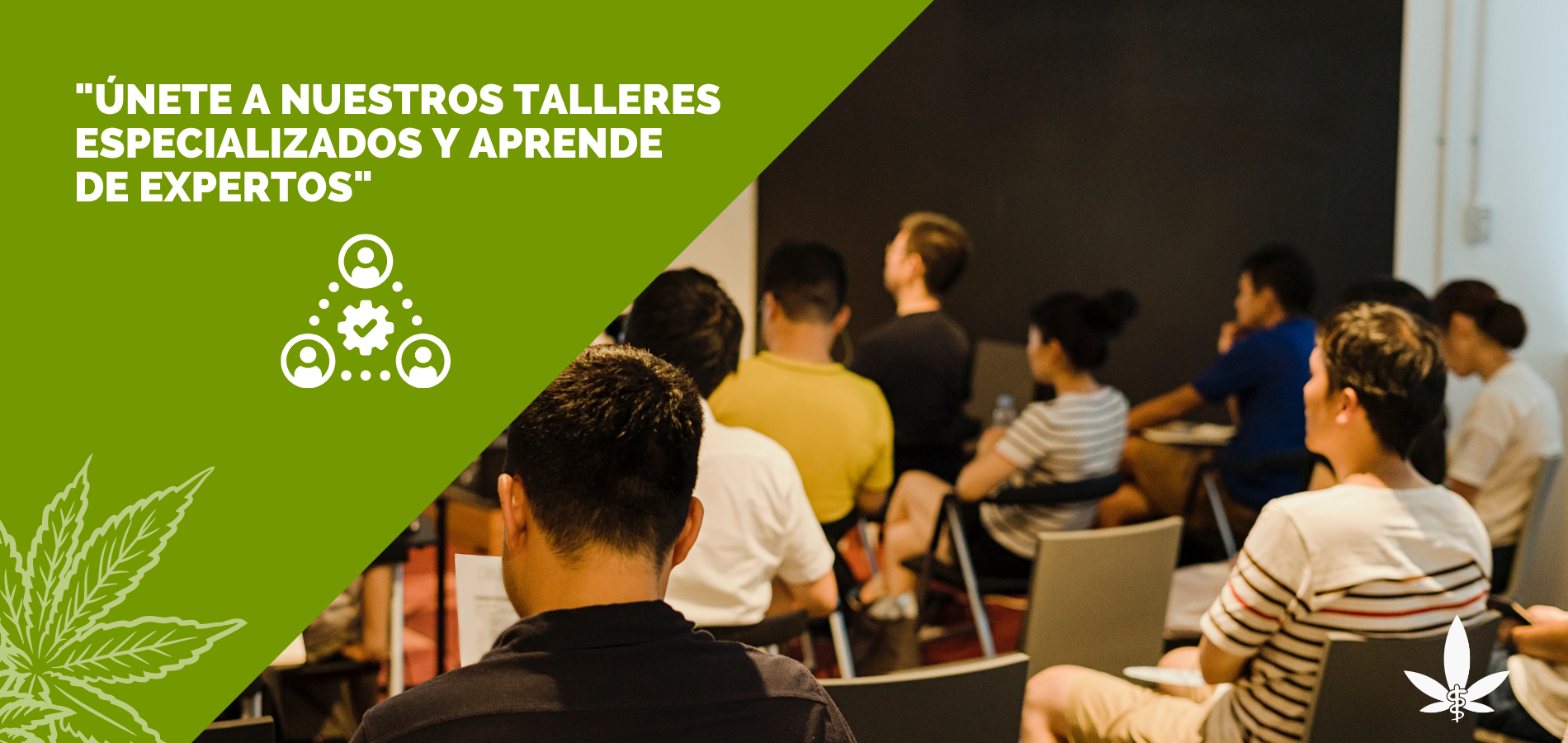 Auditorio de estudiantes con texto Únete a nuestros talleres especializados de cannabis medicinal